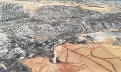 Adıyaman'daki orman yangını söndürüldü