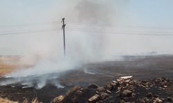 Anız yangınında gözaltı