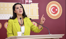 Arıcılar zor durumda