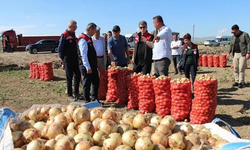 Bakanlıktan ‘soğan’ tedbiri