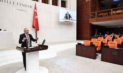 Meriç trafik cezalarını eleştirdi