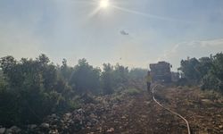 Orman yangınına havadan müdahale