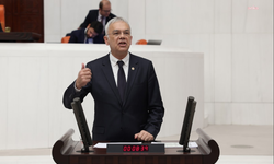 Pes dedirten olay meclis gündeminde
