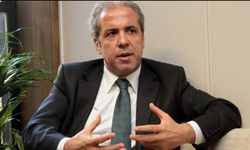 Devlet domates, salatalık satmasın