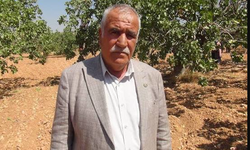 Fıstık hırsızları için alarm verildi