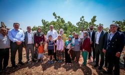Gözünüzü seveyim, bu ithalatı durdurun