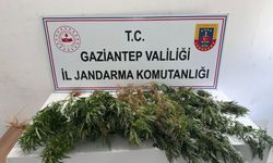 Jandarma gözden kaçırmadı
