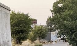 Oğuzeli’nde başıboş köpek tedirginliği