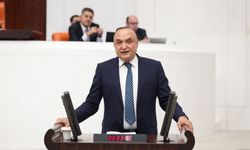 Meriç: Bu Parayla Geçinmek Mümkün mü?