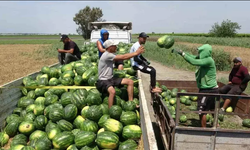 Tarımda zam şampiyonu belli oldu