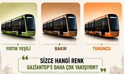 Tramvayların renkleri oylamada