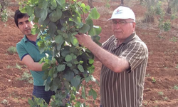 Bunun adı çifte standart
