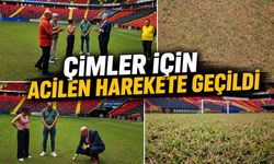 Çimler için acilen harekete geçildi