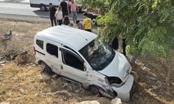 Kontrolden çıkıp ağaca çarptı