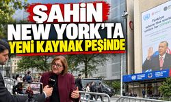 Şahin New York'ta yeni kaynak peşinde