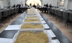 Borsa’da 15 bin tonluk ihale