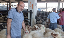 İthal et zarar verir