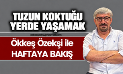 TUZUN KOKTUĞU YERDE YAŞAMAK
