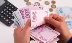 Vatandaşlık maaşında kriterler belli oluyor