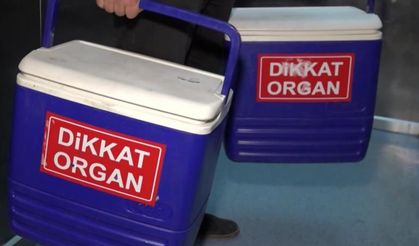 Binlerce kişi umut kuyruğunda