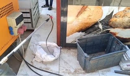 Ekmek sandığından yılan çıktı