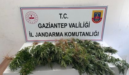 Jandarma gözden kaçırmadı