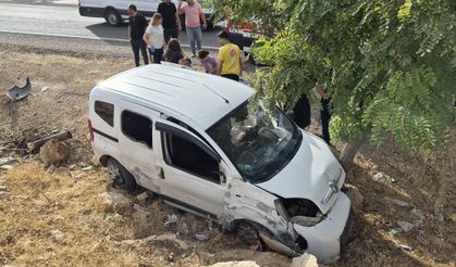 Kontrolden çıkıp ağaca çarptı