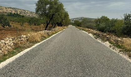 Bağlantı yolu asfaltı sevindirdi