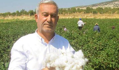Pamuk alım fiyatları açıklandı