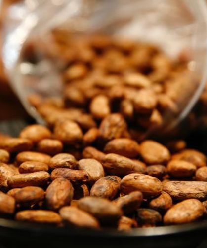 Bir fincan kakao vücutta mucize yaratıyor