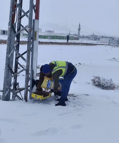 Sokak hayvanları için yiyecek bırakıldı