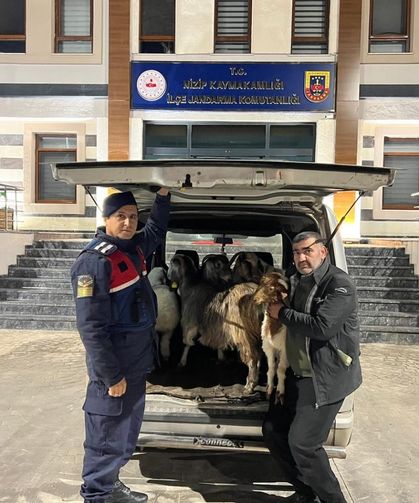 Sahte para ile dolandırmışlar