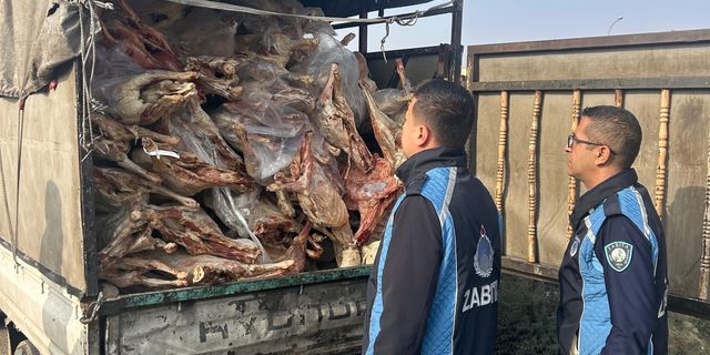 Kamyonet kasasında bozuk et şoku