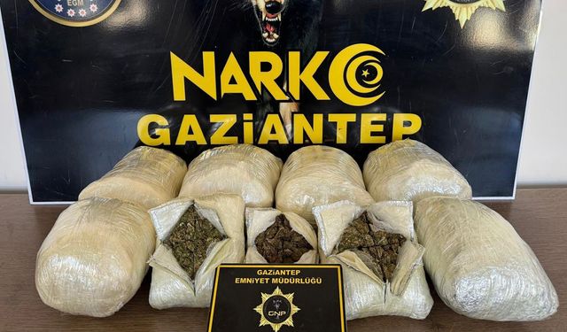 Operasyonda 5 kilo skunk ele geçirildi