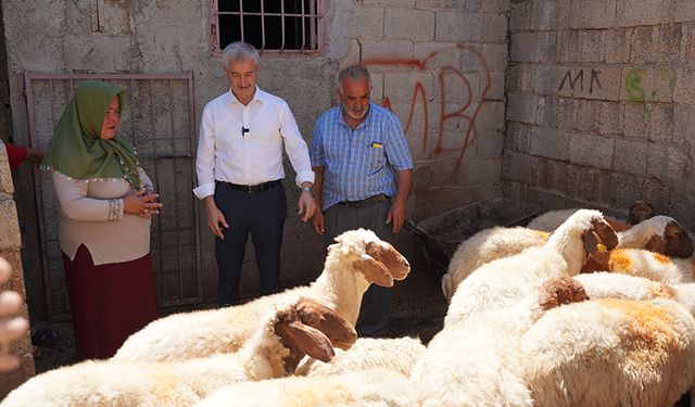 Destekle yetiştirici oldular