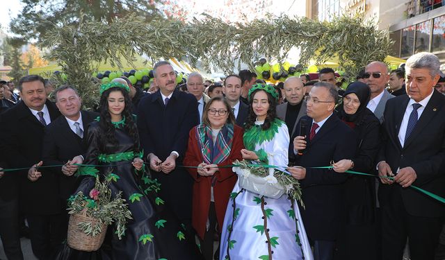 Nizip'te Zeytin festivali