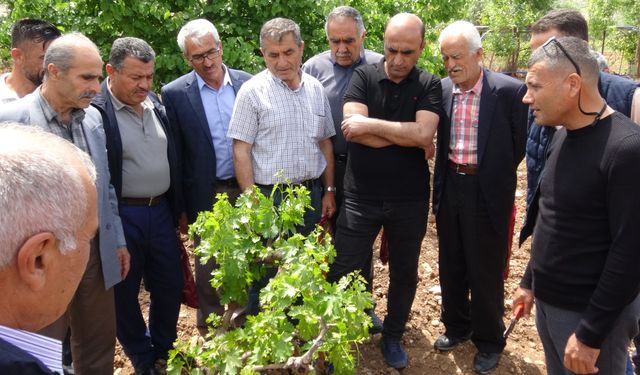 Batman’da 'modern bağcılık eğitimi'