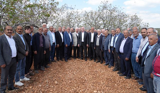 Don zararı için inceleme