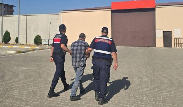 Düzensiz göçmen ile organizatör yakalandı
