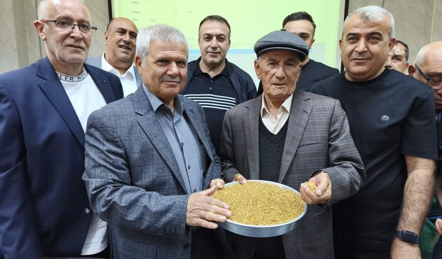 İlk buğday 13 liradan alıcı buldu