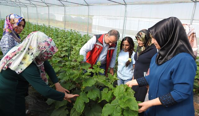 Kadınlar kolları sıvadı