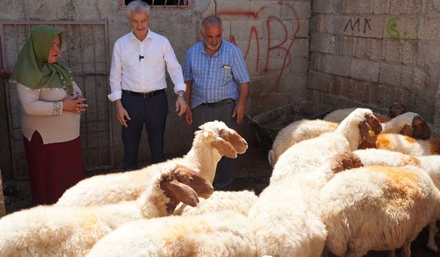 Tahmazoğlu açıkladı.. İşte Kurban fiyatları