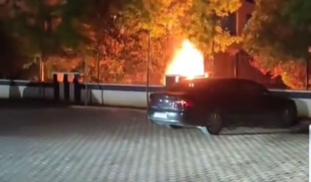 Park halindeyken yandı