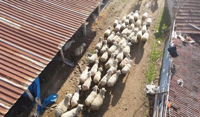 Üreticiye nefes aldıracak ödeme