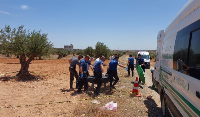 Tarlada ölü bulundu