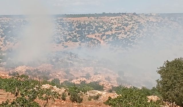 Gaziantep'te Üreticiye Yangın Şoku