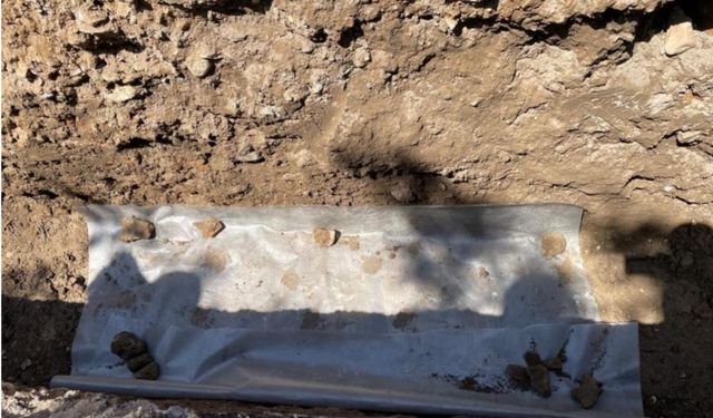 Roma Döneminden Kalma Mozaik Bulundu