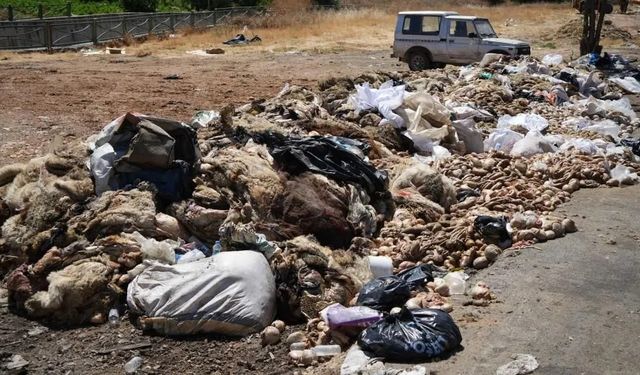 Gaziantep’te utandıran manzara