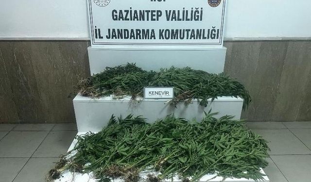 Uyuşturucu ticaretine baskın