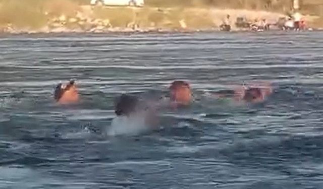 Boğulmaktan son anda kurtuldular